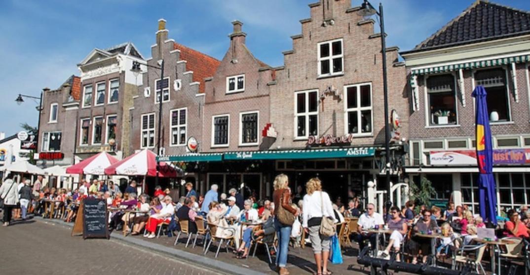 Huisje Britt Met Grote Tuin En Veel Privacy Dirkshorn Exteriér fotografie