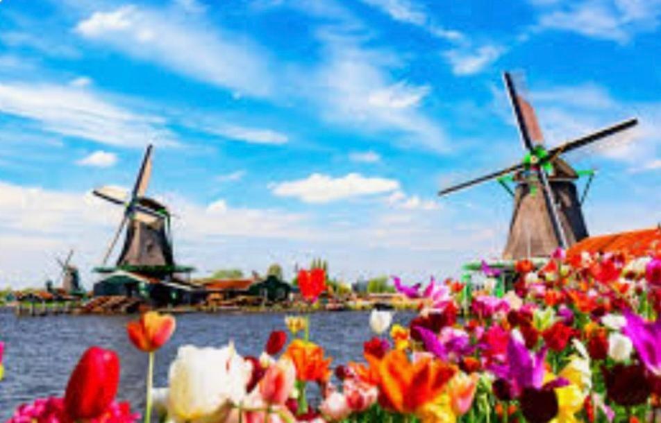 Huisje Britt Met Grote Tuin En Veel Privacy Dirkshorn Exteriér fotografie