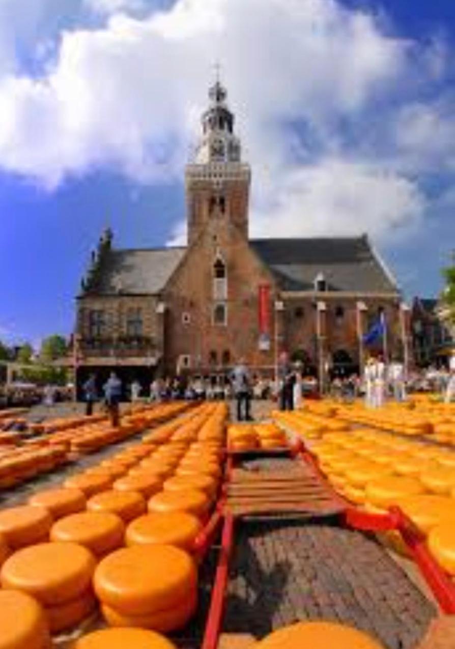 Huisje Britt Met Grote Tuin En Veel Privacy Dirkshorn Exteriér fotografie