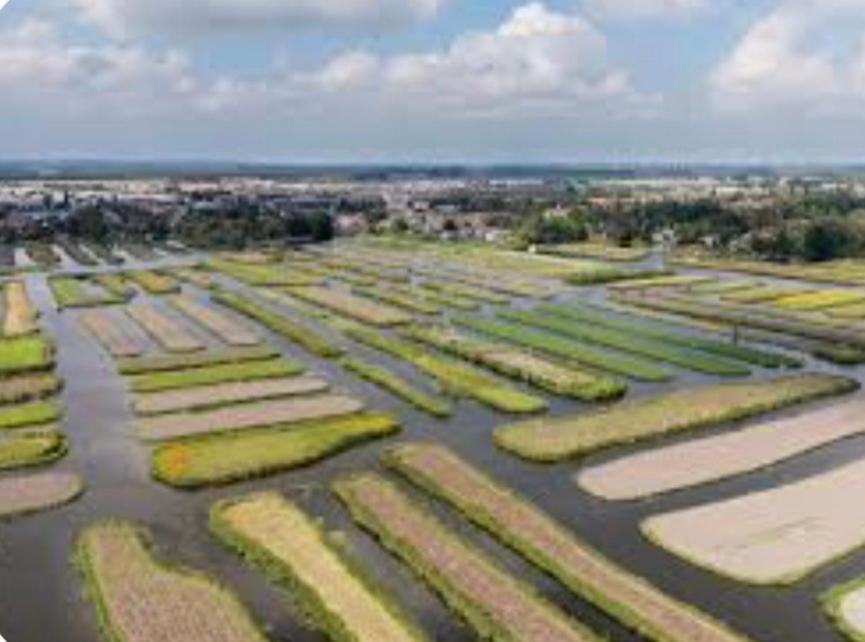 Huisje Britt Met Grote Tuin En Veel Privacy Dirkshorn Exteriér fotografie